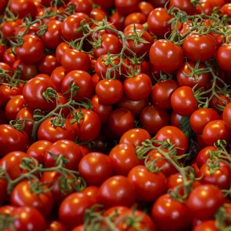 Historia kalisteniki