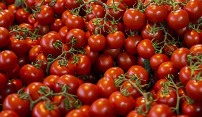 tomatoes, wallpaper hd, 4k wallpaper 1920x1080-8181194.jpg